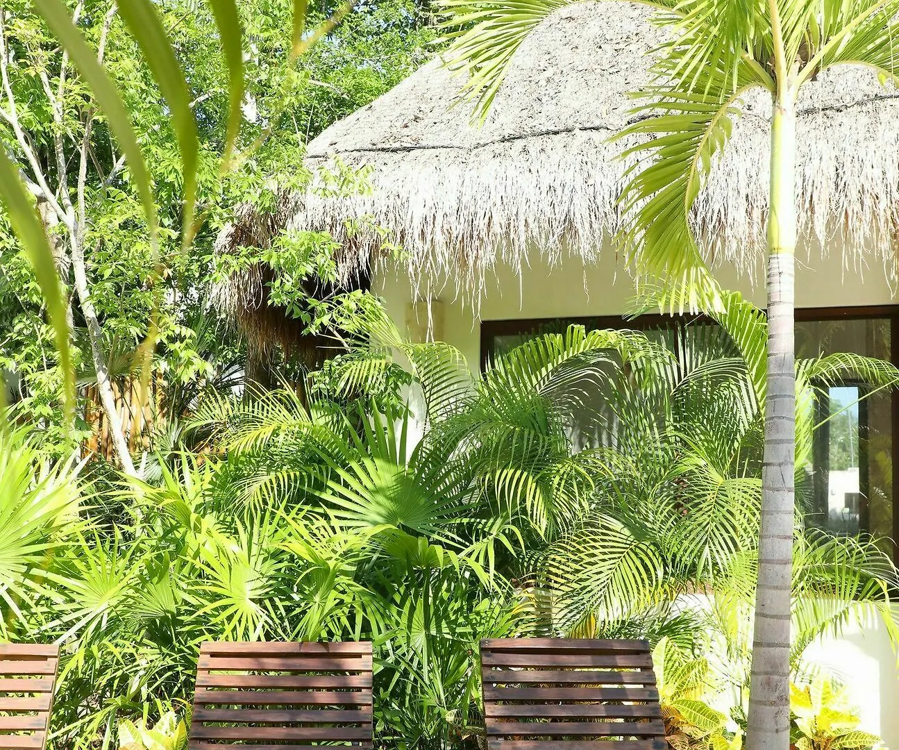Blue Beach 2 Brm Apt Sleeps 5 Tulum Mexico